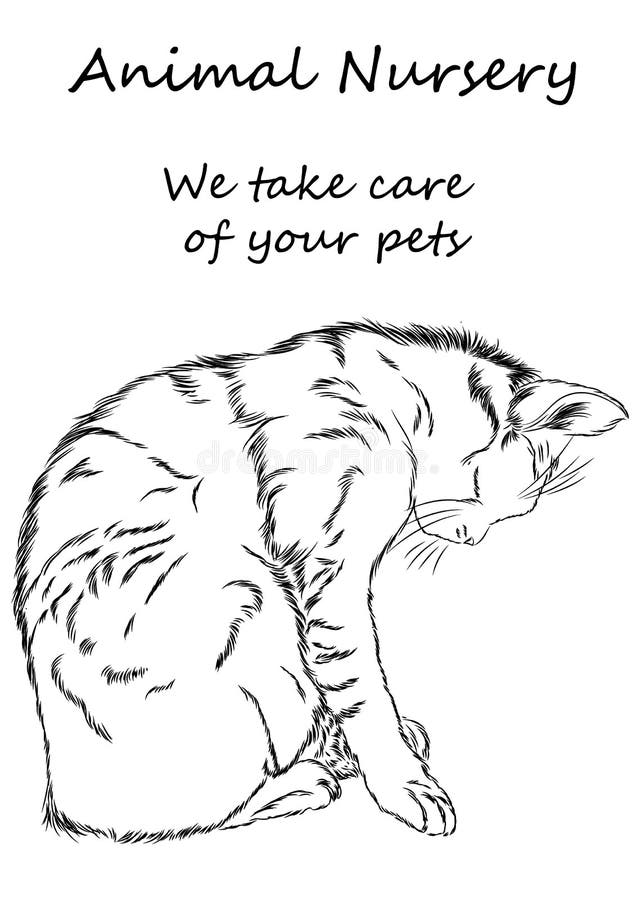 Кот изображения Его можно использовать для рекламировать cattery, ветеринарный cl бесплатная иллюстрация Кот изображения Его можно использовать для рекламировать cattery, ветеринарный cl бесплатная иллюстрация