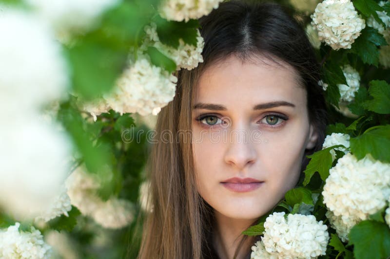 Красивая и очаровательная девушка стоит около blossoming дерева стоковая фотография Красивая и очаровательная девушка стоит около blossoming дерева стоковая фотография