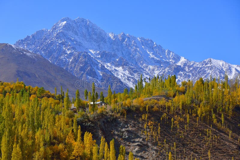 Красивая осень на долине Ghizer стоковая фотография rf Красивая осень на долине Ghizer стоковая фотография rf
