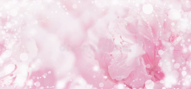 Красивая розовая пастельная флористическая романтичная предпосылка с светом и bokeh