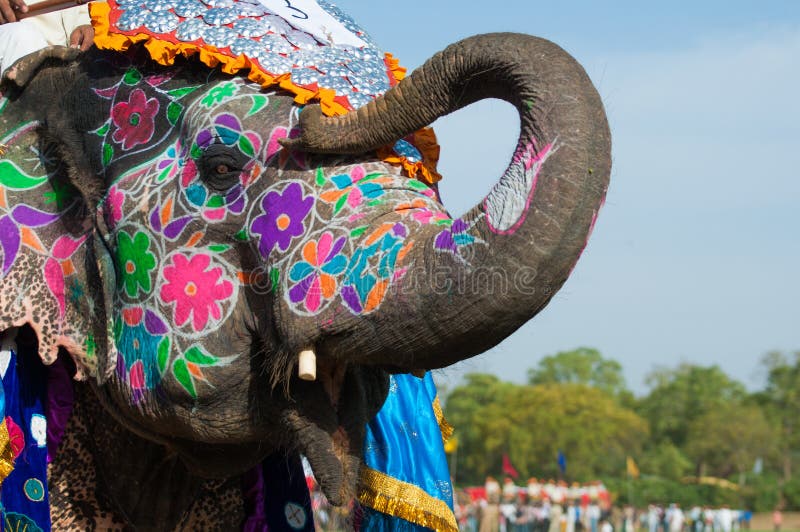 Красивейше покрашенный слон в Индии