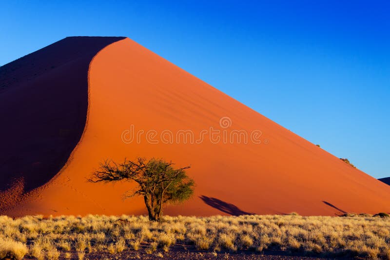 African landscape, beautiful sunset dunes and nature of Namib desert, Sossusvlei, Namibia, South Africa. African landscape, beautiful sunset dunes and nature of Namib desert, Sossusvlei, Namibia, South Africa