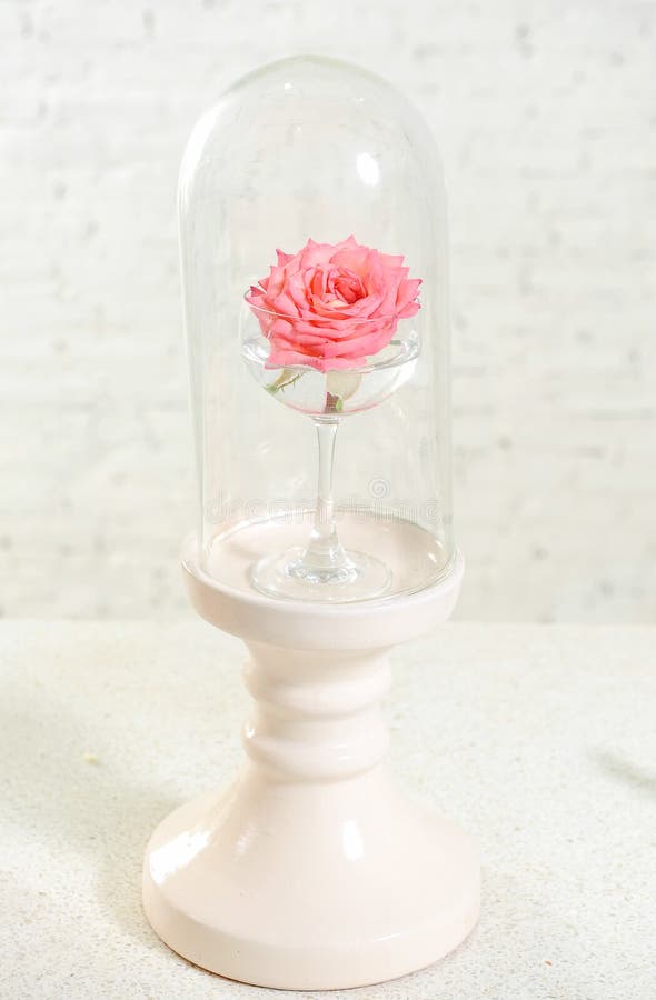 Красивое стекло с розой пинка