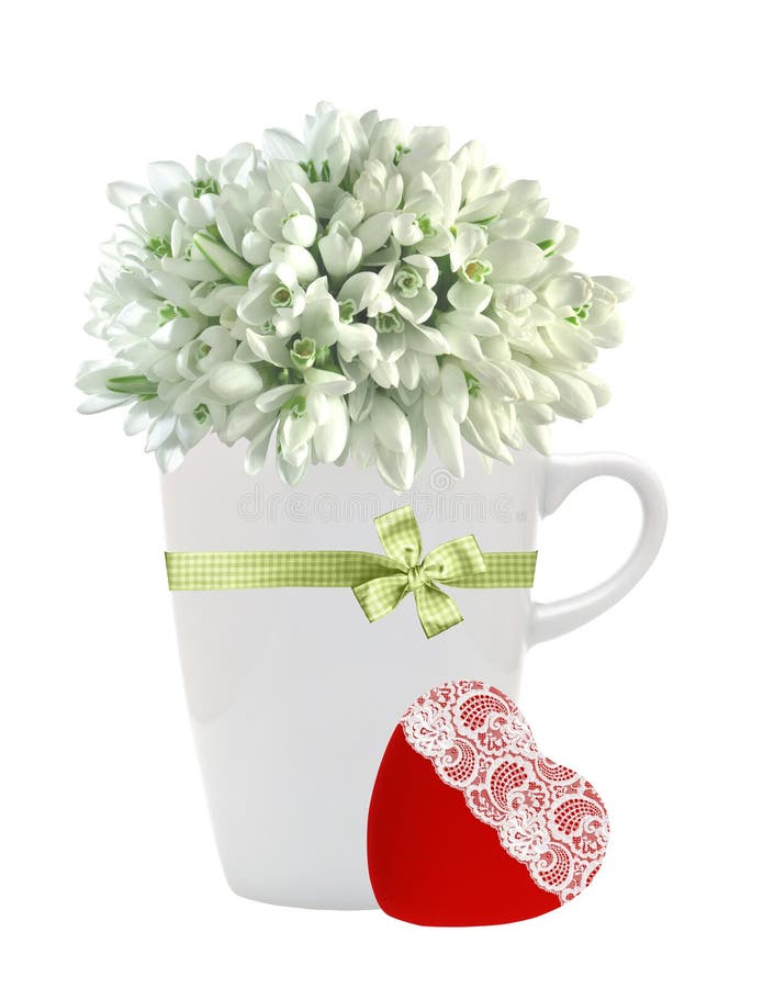 Красивые snowdrops в чашке и красном сердце изолированных на белизне стоковое изображение rf