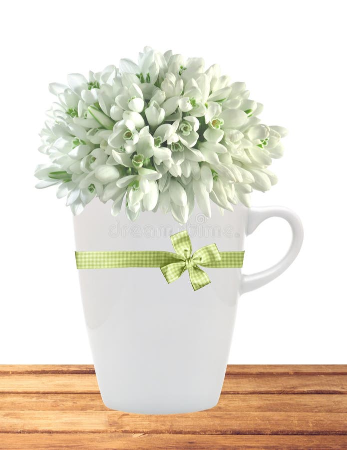 Красивые snowdrops в чашке на таблице изолированной на белизне стоковое изображение rf