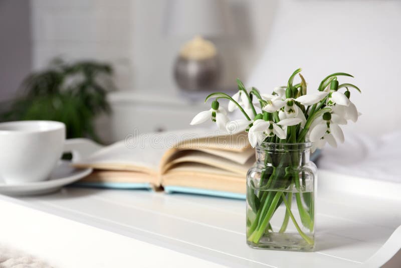 Красивые snowdrops книга и чашку кофе на подносе в спальне. Пространство для текста стоковое изображение