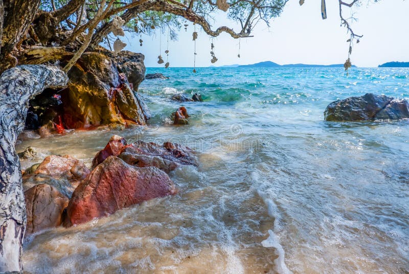 Красивые виды на море лета с утесами, деревьями и украшениями сделанными коралла стоковая фотография Красивые виды на море лета с утесами, деревьями и украшениями сделанными коралла стоковая фотография