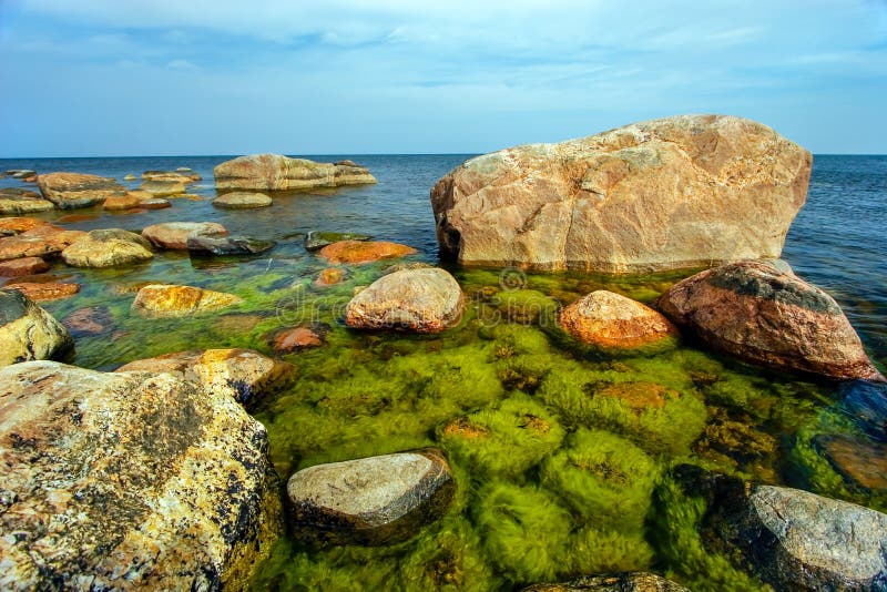 Красивые огромные камни в море с небольшими камнями под водой перерастанной с зелеными водорослями в Gulf of Finland стоковые изображения