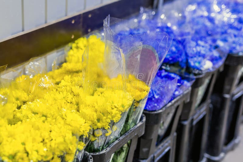 Красивые свежие голубые и красные цветки на flowermarket Оптовый цветочный магазин Розничная и большая концепция магазина срезанн стоковая фотография rf Красивые свежие голубые и красные цветки на flowermarket Оптовый цветочный магазин Розничная и большая концепция магазина срезанн стоковая фотография rf