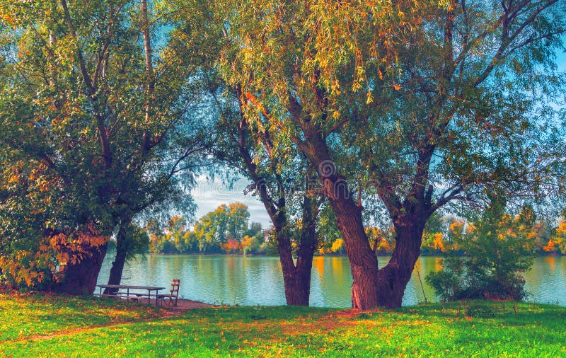 Красивый ландшафт осени показывая деревья около реки стоковые фото