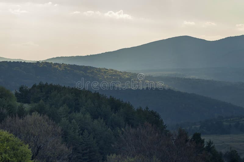 Красивый ландшафт природы весны с зелеными glade и лесом в горе Vitosha tovard горы Plana, Болгарии