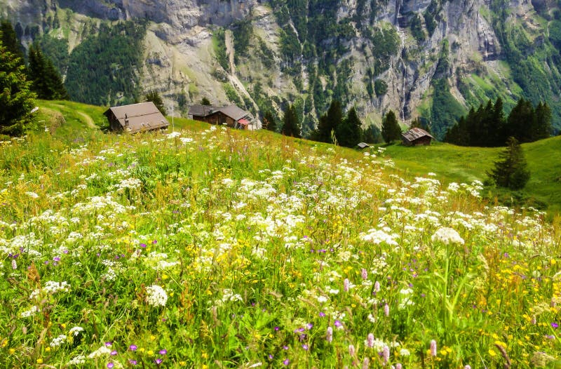 Красивый взгляд ландшафта очаровывать горное село Murren с долиной Lauterbrunnen и швейцарцем Альпами, зоной Jungfrau стоковые фото Красивый взгляд ландшафта очаровывать горное село Murren с долиной Lauterbrunnen и швейцарцем Альпами, зоной Jungfrau стоковые фото