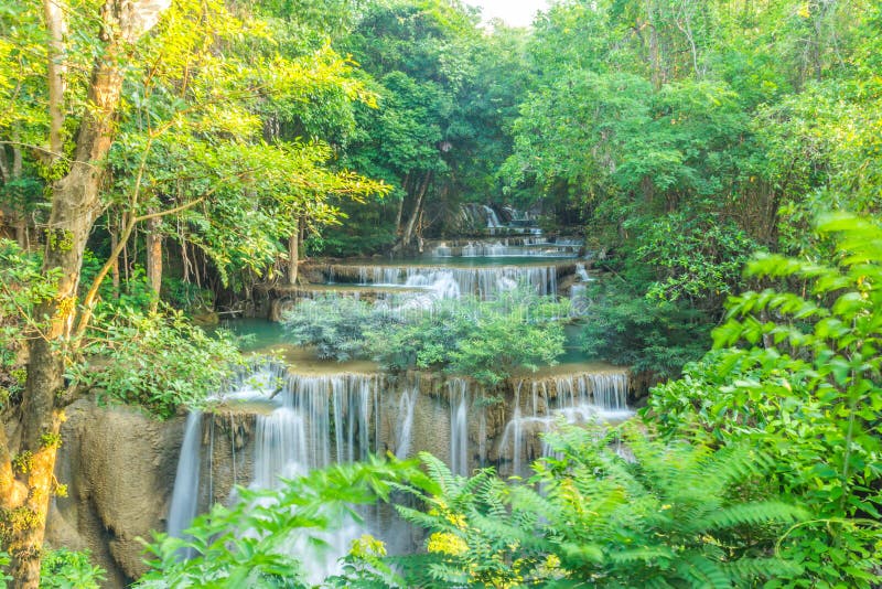 Красивый водопад в глубоком лесе стоковые фото Красивый водопад в глубоком лесе стоковые фото