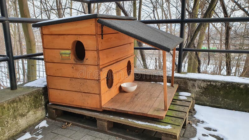 Красивый деревянный питомник для бездомных кошек стоковое изображение