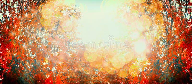 Beautiful autumn day with red fall foliage and sunlight, outdoor nature background, banner, frame. Beautiful autumn day with red fall foliage and sunlight, outdoor nature background, banner, frame