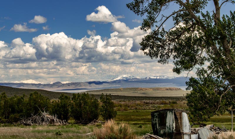 Красивый ландшафт северной зоны берега Mono озера, Калифорния стоковое фото rf