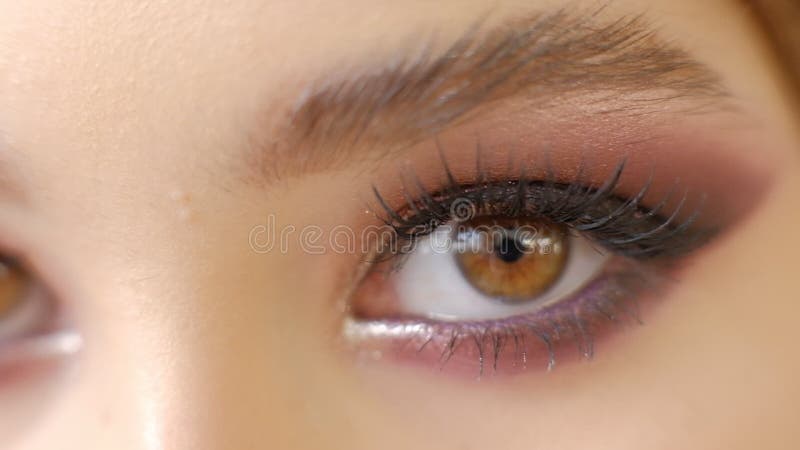 Красивый макияж праздника глаза Брауна женщины Конец-вверх макияжа Всход макроса глаза молодой женщины Smokey, закоптелые глаза