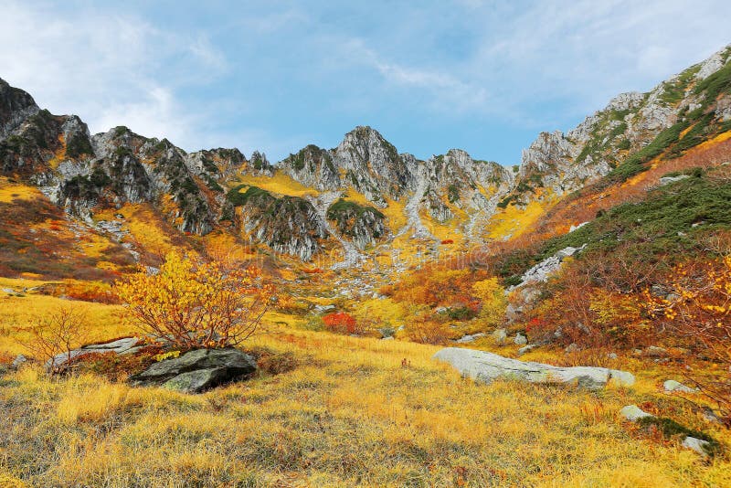 Beautiful autumn scenery of Senjojiki Cirque with rugged peaks in the background and colorful plants by the mountainside in Japanese Central Alps National Park, Nagano, Japan. Beautiful autumn scenery of Senjojiki Cirque with rugged peaks in the background and colorful plants by the mountainside in Japanese Central Alps National Park, Nagano, Japan