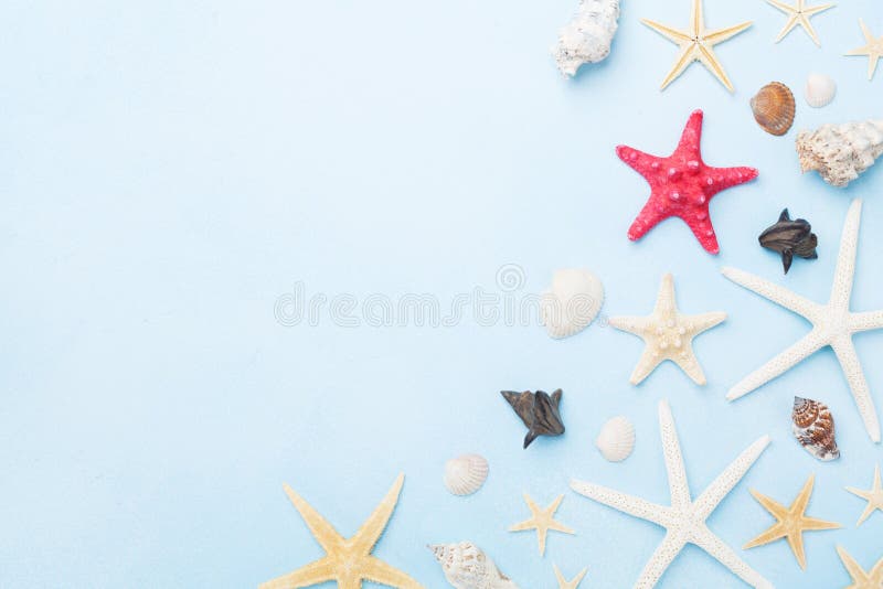 Beautiful composition from seashells and starfish. Summer holidays, travel and trip background. Beautiful composition from seashells and starfish. Summer holidays, travel and trip background.