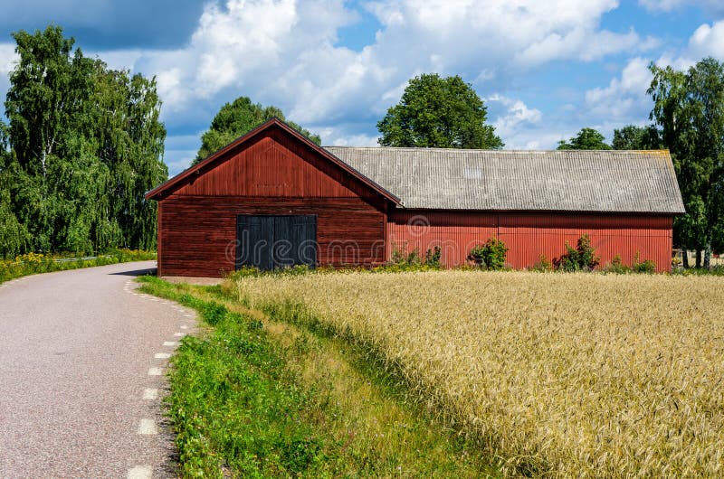 Red barn beside the road and a field of corn in the Swedish countryside. Red barn beside the road and a field of corn in the Swedish countryside.