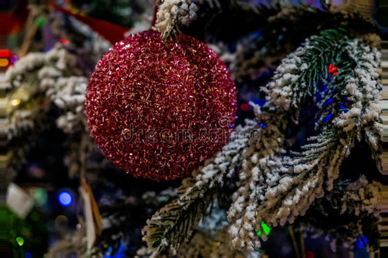 красный орнамент висит на ветке рождественского дерева, украшенной искусственным снегом стоковое изображение