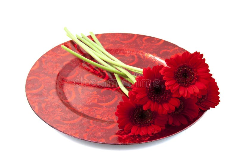 красный цвет gerbera стоковое изображение rf красный цвет gerbera стоковое изображение rf