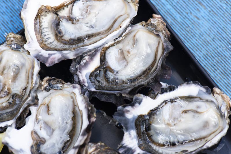 Крупный план свежих shucked устриц стоковое фото rf Крупный план свежих shucked устриц стоковое фото rf