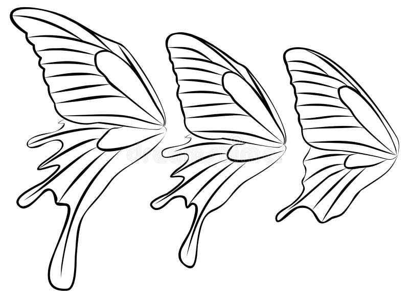 Alas de mariposa dibujo
