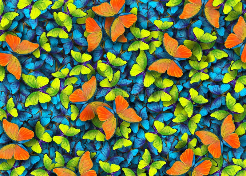 Крыла бабочки Morpho Полет ярких бабочек сини, оранжевых и желтых резюмирует предпосылку стоковая фотография rf Крыла бабочки Morpho Полет ярких бабочек сини, оранжевых и желтых резюмирует предпосылку стоковая фотография rf