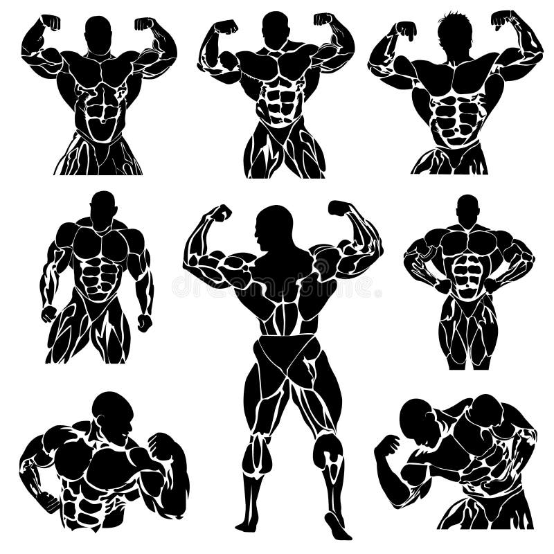 Культуризм, Powerlifting, вектор, комплект иллюстрация штока Культуризм, Powerlifting, вектор, комплект иллюстрация штока