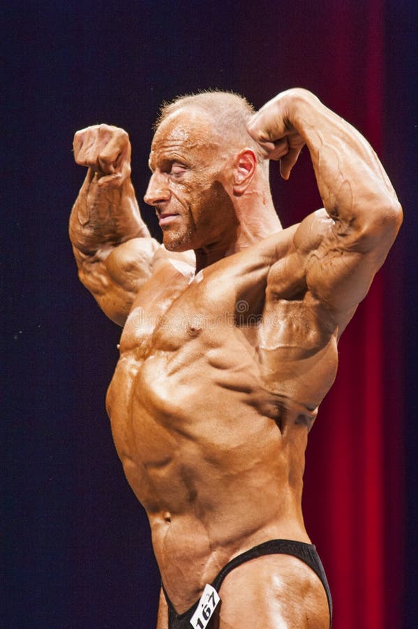 ���� ���������� ���������: ����.