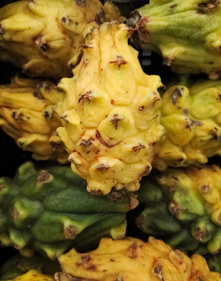 Куча тропического экзотического желтых и зеленых pitaya плодоовощ, pitahaya или плодоовощ дракона стоковые фото Куча тропического экзотического желтых и зеленых pitaya плодоовощ, pitahaya или плодоовощ дракона стоковые фото