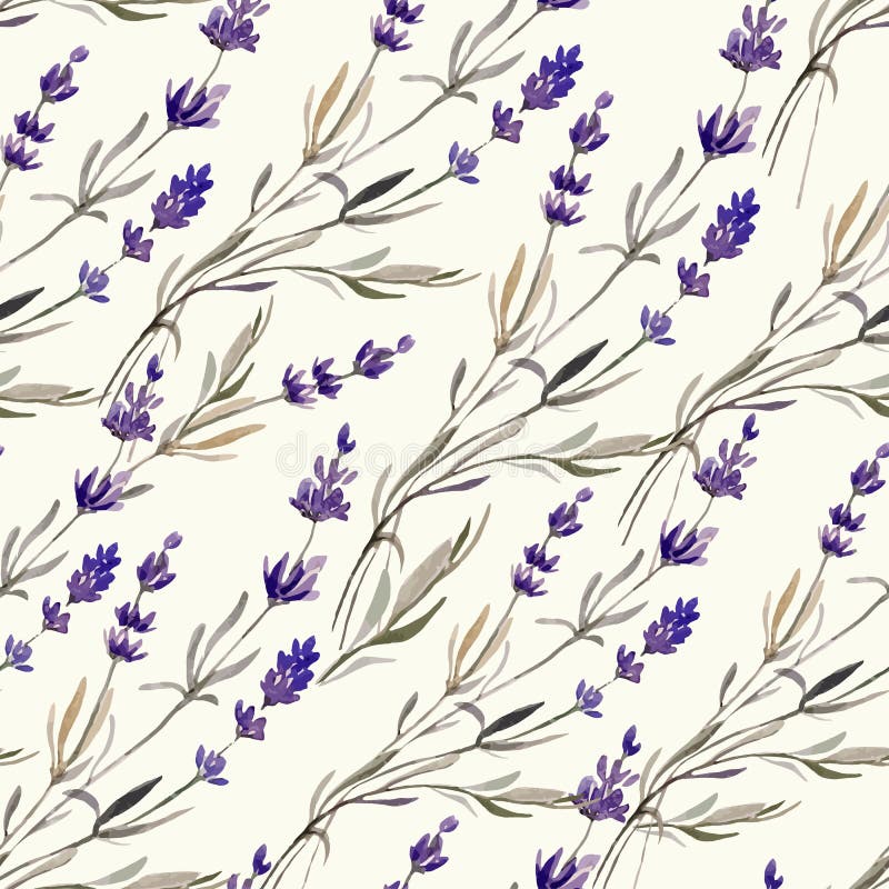 Лаванда decor4 Провансали иллюстрация вектора Лаванда decor4 Провансали иллюстрация вектора
