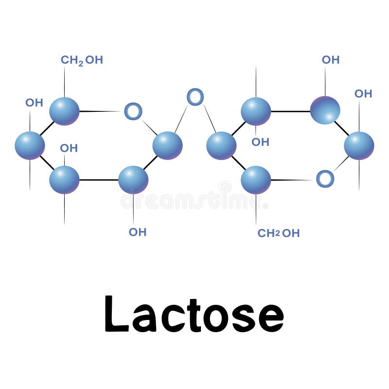 Имитация руки формулы молекулы химии лактозы вычерченная Иллюстрация ...