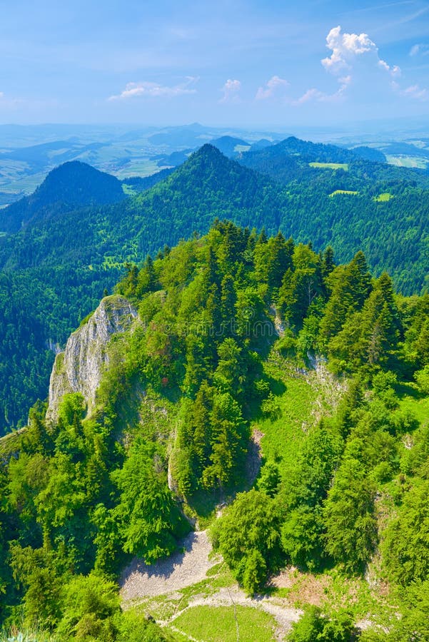 Ландшафт лета. Природа res гор Pieniny стоковая фотография Ландшафт лета. Природа res гор Pieniny стоковая фотография