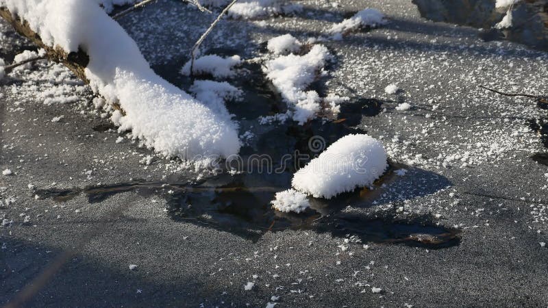 Ландшафт подач потока леса в снеге природы леса зимы