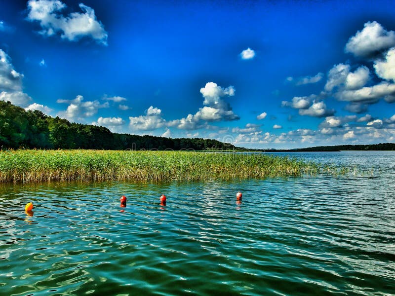 Warmian-Masurian region in northern Poland. View on the lake of Mamry in Kietlice. Vivid colors. View on blue calm lake, trees and horizon in a distance. Deep blue, cloudy sky. Warmian-Masurian region in northern Poland. View on the lake of Mamry in Kietlice. Vivid colors. View on blue calm lake, trees and horizon in a distance. Deep blue, cloudy sky.