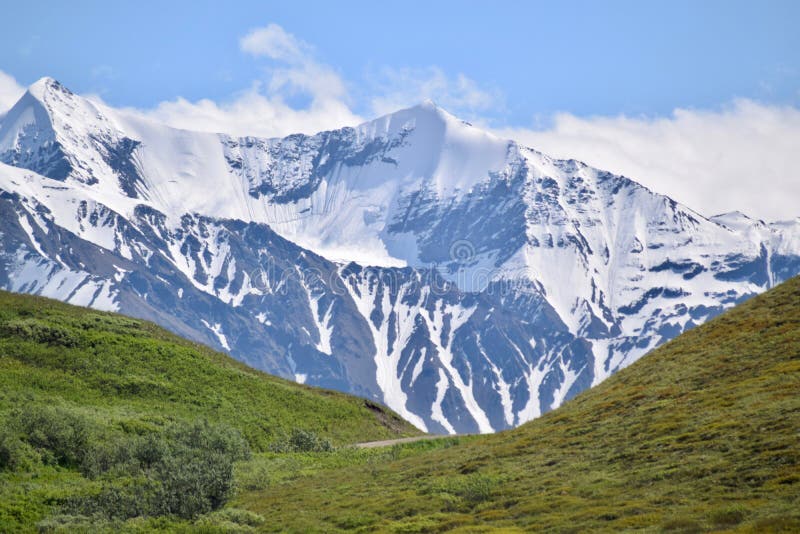 Ландшафт в национальном парке Denali и заповеднике, Аляске стоковое фото rf Ландшафт в национальном парке Denali и заповеднике, Аляске стоковое фото rf