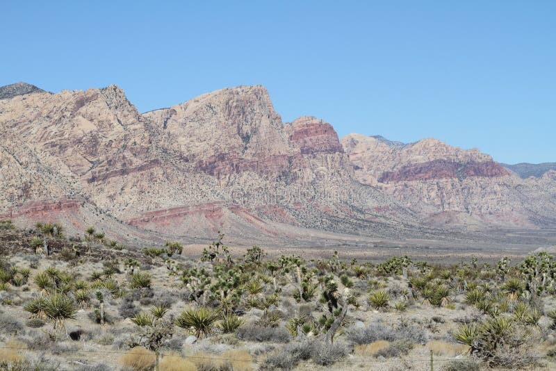 A landscape of the Mojave Desert,here in Nevada,with Yucca (Joshua) trees. A landscape of the Mojave Desert,here in Nevada,with Yucca (Joshua) trees.