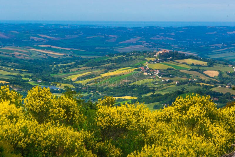 Landscape near Arcevia, a small town in the province of Ancona in the Marche region, lonely planet best in travel 2020. Yellow brooms in the foreside. Landscape near Arcevia, a small town in the province of Ancona in the Marche region, lonely planet best in travel 2020. Yellow brooms in the foreside.