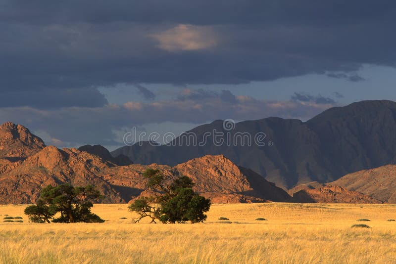 Desert landscape near Sossusvlei, Namibia. Desert landscape near Sossusvlei, Namibia