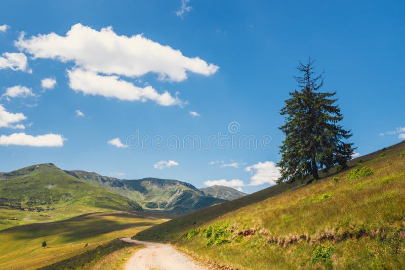 Ландшафты гор Rodna в восточных carpathians, Румынии стоковое фото rf Ландшафты гор Rodna в восточных carpathians, Румынии стоковое фото rf