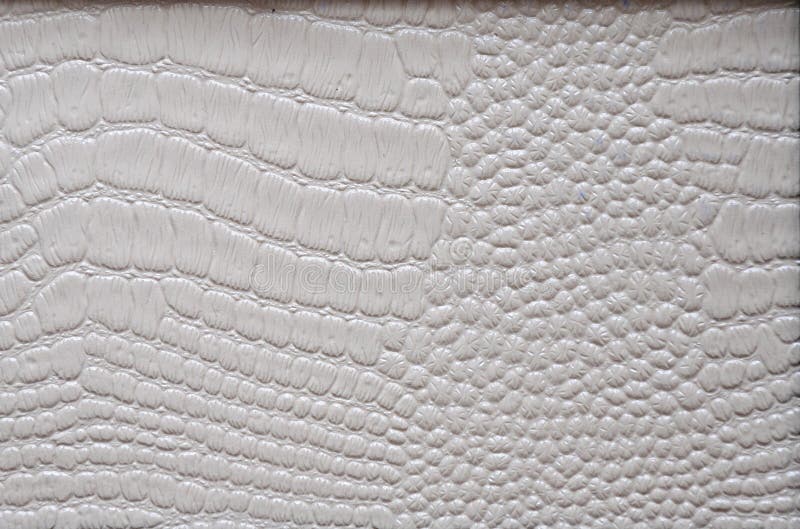 Lightened reptile skin close-up, natural pattern in white. Background, texture. Lightened reptile skin close-up, natural pattern in white. Background, texture