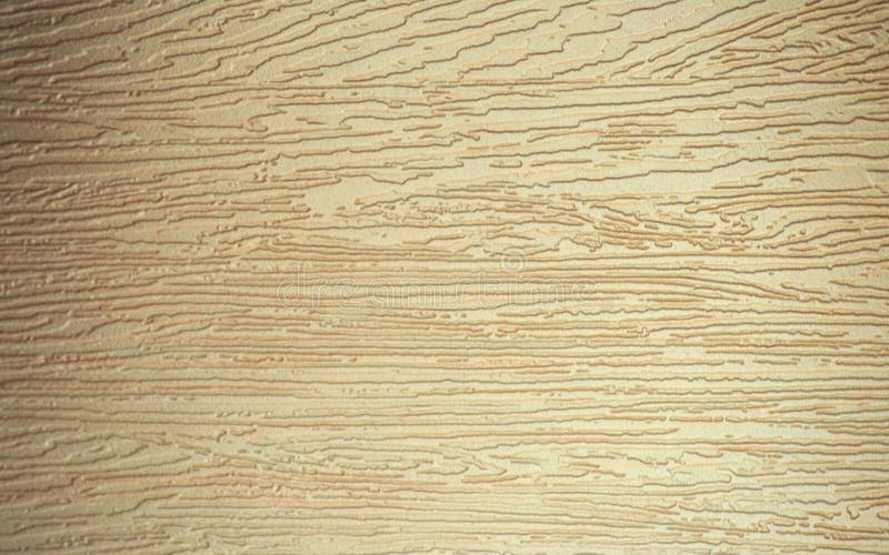 Lightened beech, a natural wood grain with a rich pattern and a pronounced texture. Background. Lightened beech, a natural wood grain with a rich pattern and a pronounced texture. Background