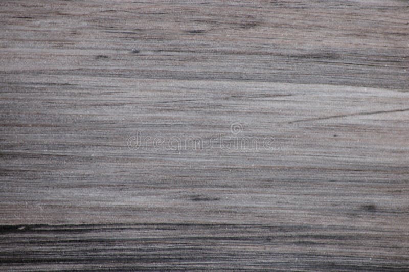 Lightened wenge oak, close-up of natural ebony texture. Background. Lightened wenge oak, close-up of natural ebony texture. Background