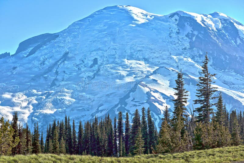 Ледники Mount Rainier стоковые изображения Ледники Mount Rainier стоковые изображения