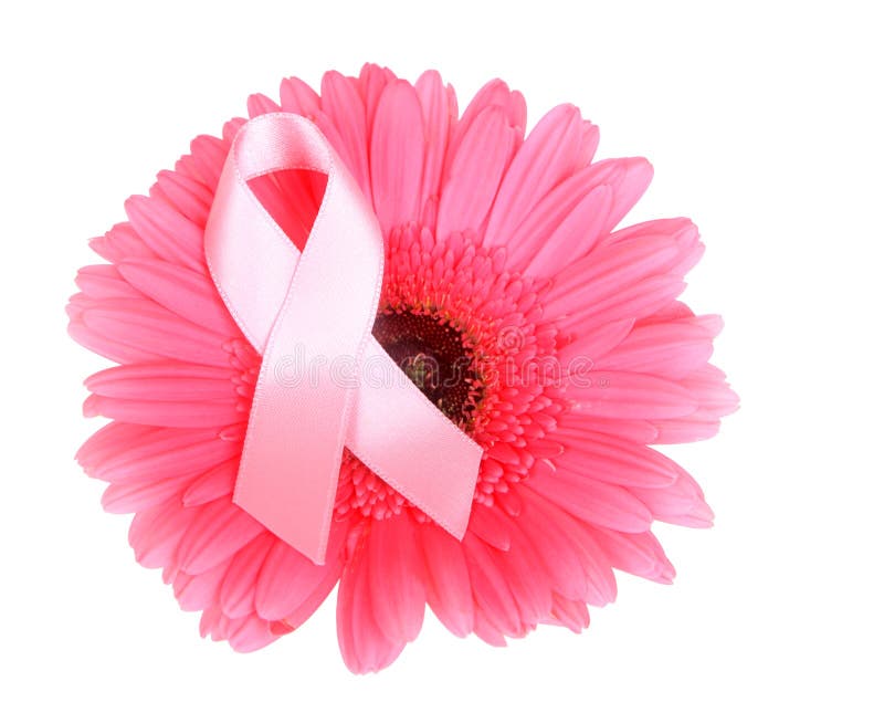 Breast Cancer Awareness ribbon on pink gerbera on white background. Breast Cancer Awareness ribbon on pink gerbera on white background