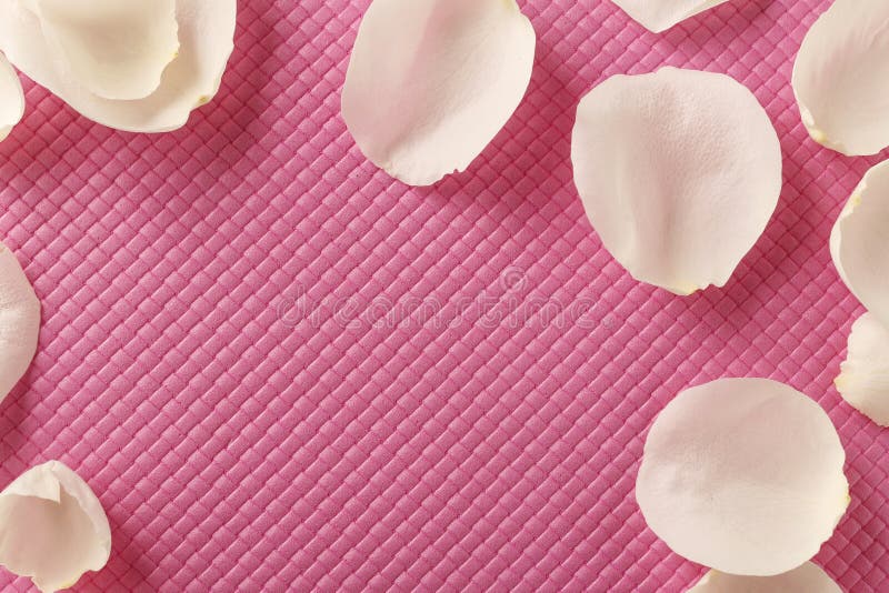 White rose petals on a quilted pink background, copy space. White rose petals on a quilted pink background, copy space