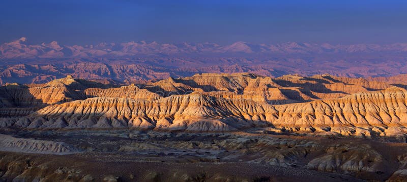 Лес Geopark земли в графстве Zhada, Тибете стоковое изображение rf Лес Geopark земли в графстве Zhada, Тибете стоковое изображение rf