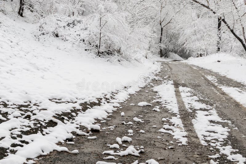 Лес и дорога зимы в снеге с трассировками автошин